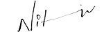 Nitin Potdar signature